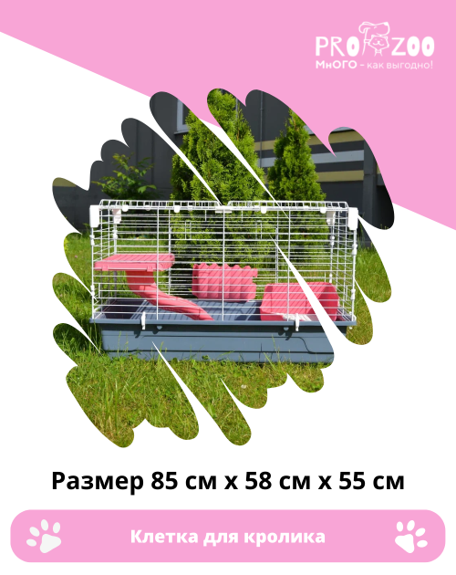 Клетка для грызунов (лоток с сеткой, сенница, полка с туннелем, фальшдно) Клетка для грызунов (лоток с сеткой, сенница, полка с туннелем, фальшдно)