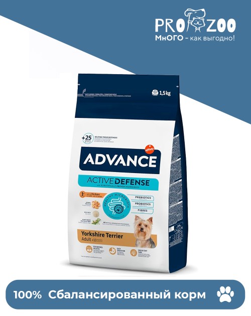 Advance Yorkshire Terrier для йоркширских терьеров, лосось и рис