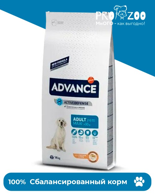 Advance Adult для собак крупных пород, курица и рис