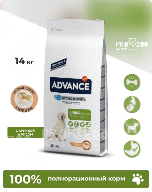 Advance Junior Maxi для щенков крупных пород с 12 месяцев, курица и рис
