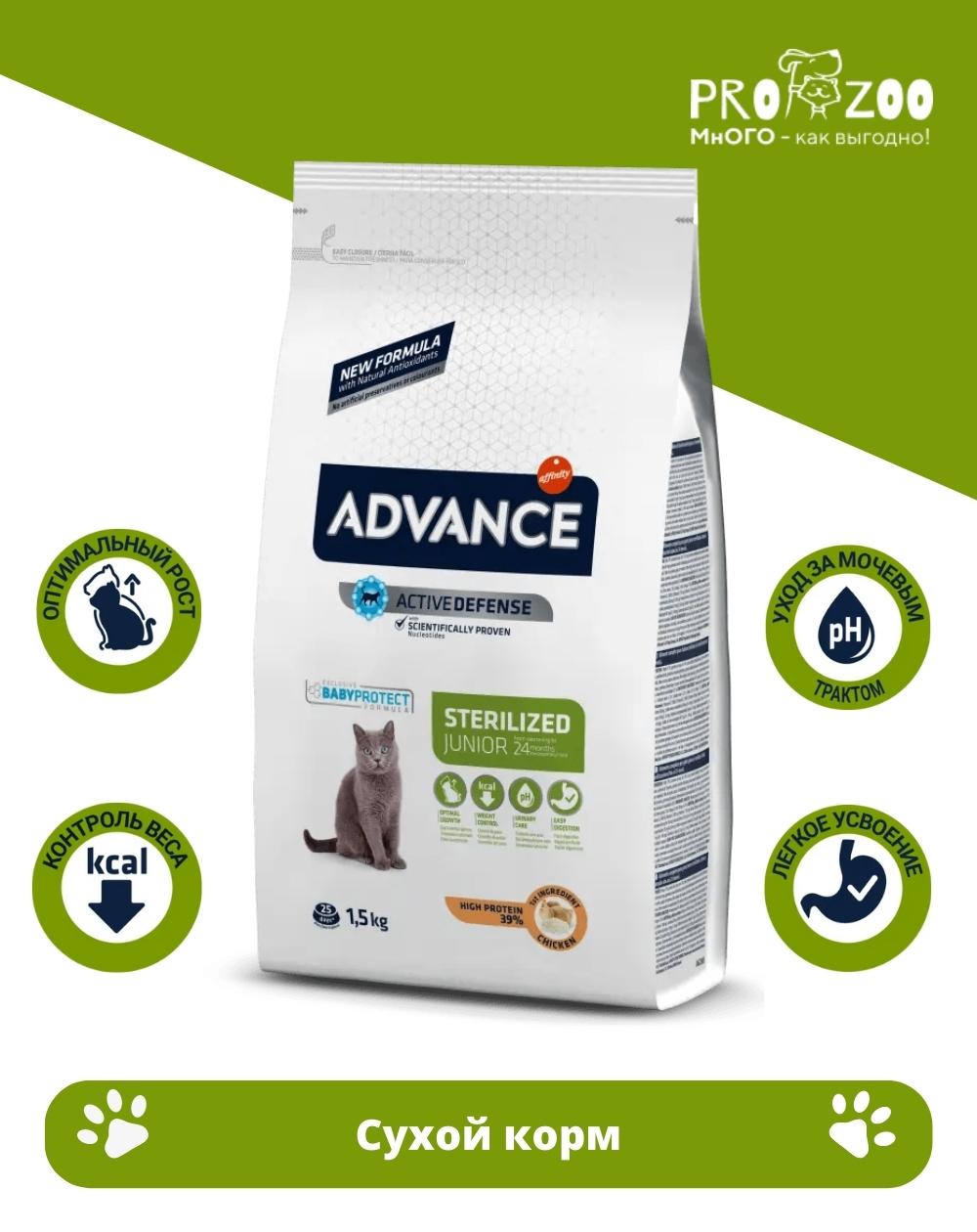 Advance корм для кошек. Корм Advance для котят. Корм Advance для котят русский. Корм Advance фиолетовая упаковка.