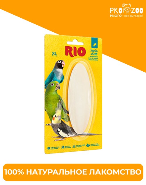 RIO Кость сепии, размер XL, 1 шт